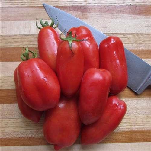 Tomato long seeds (Hybrid)